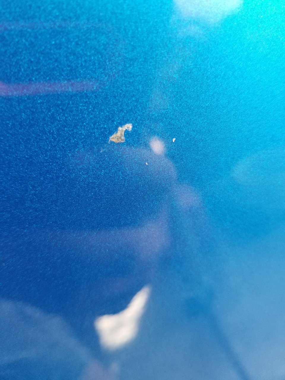 20220830_161027.jpg