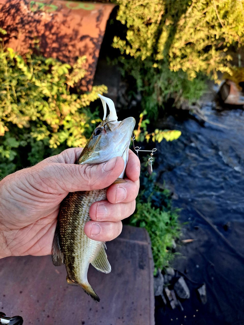 20220830_183657.jpg