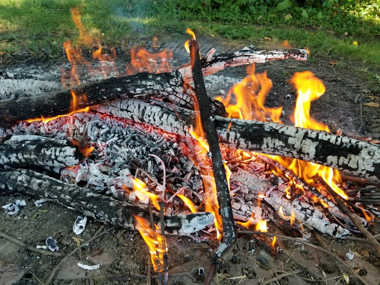 20220831_162437.jpg