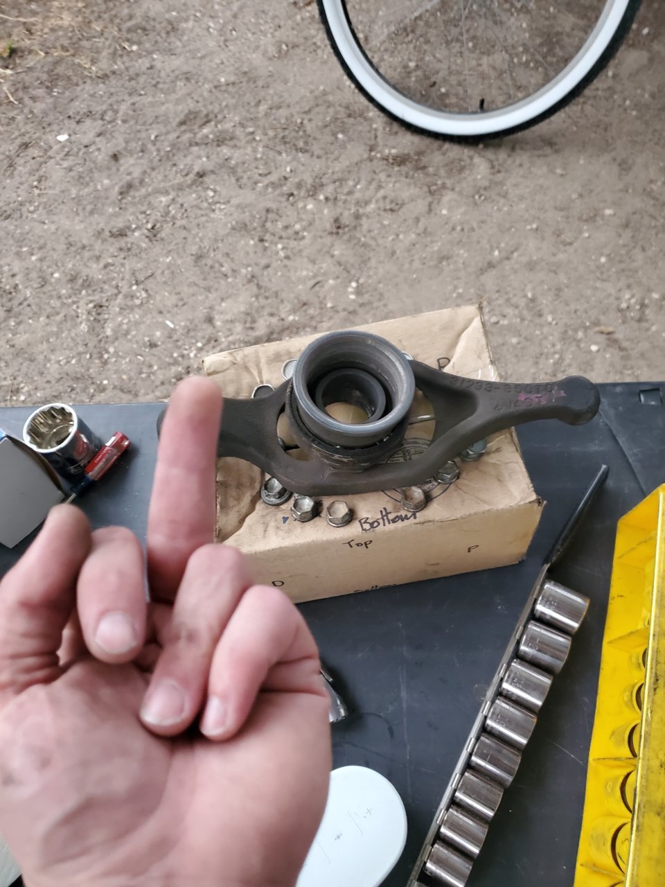 20220831_194602.jpg