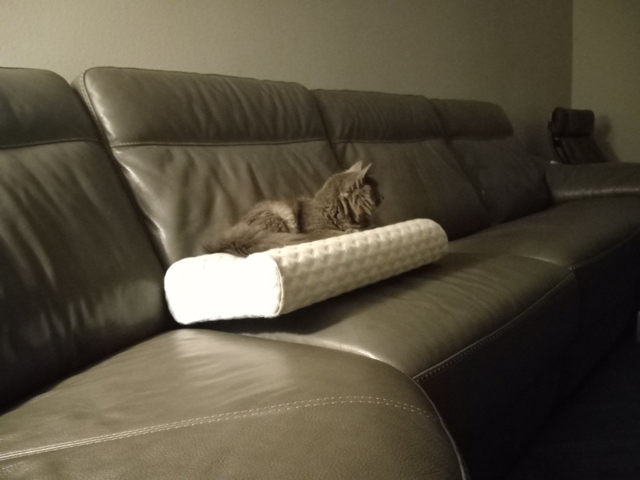 20220831_213013.jpg