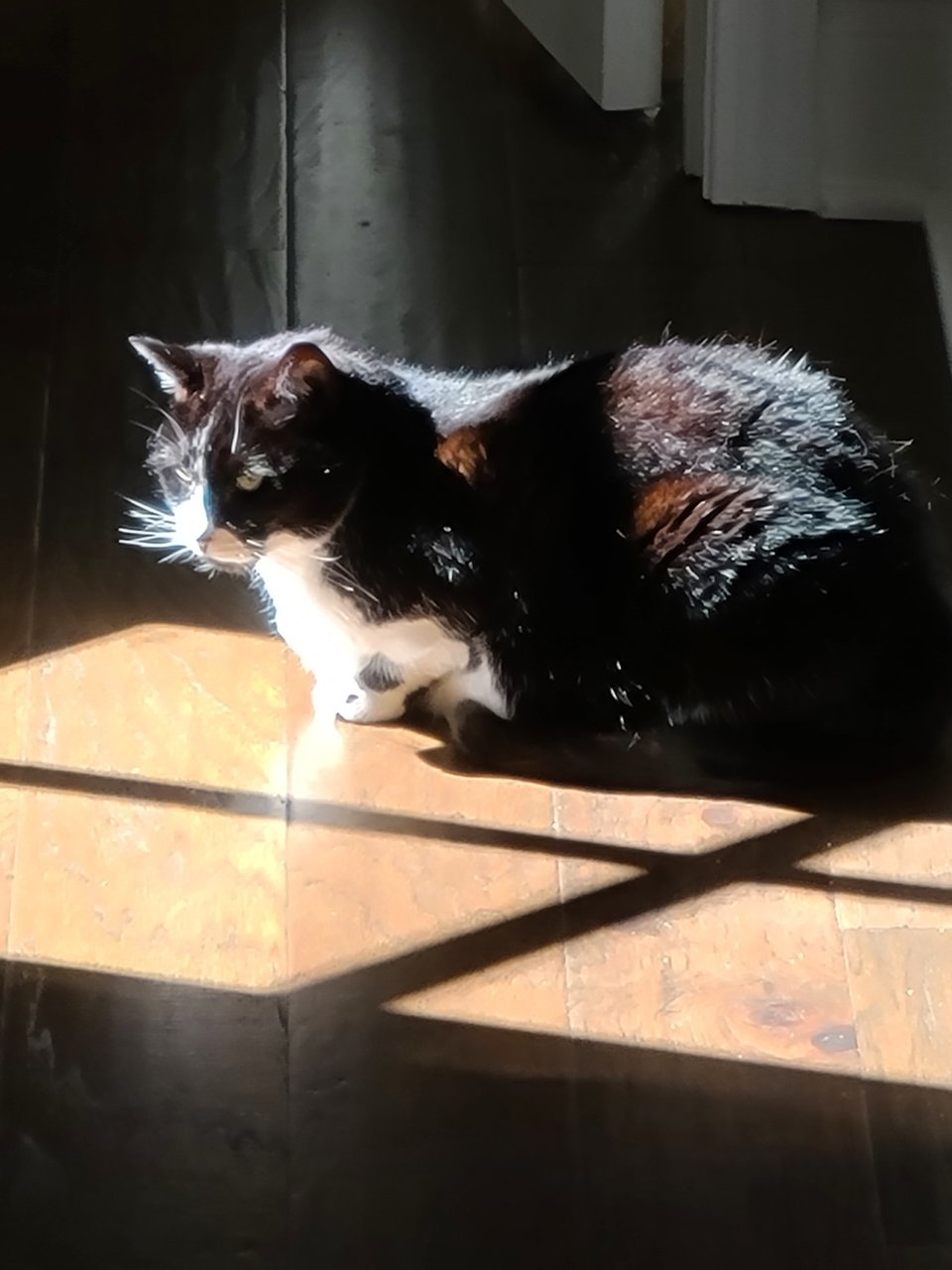 20220901_093300.jpg