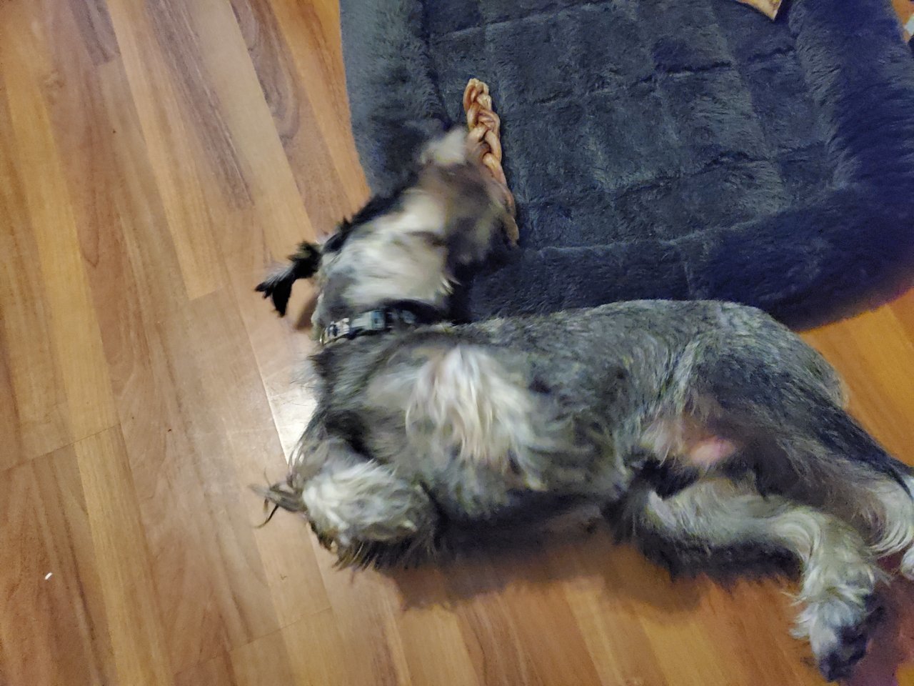 20220901_172615.jpg
