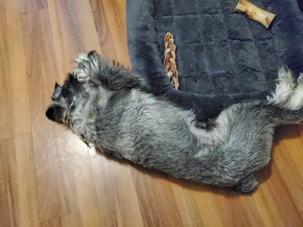 20220901_172620.jpg