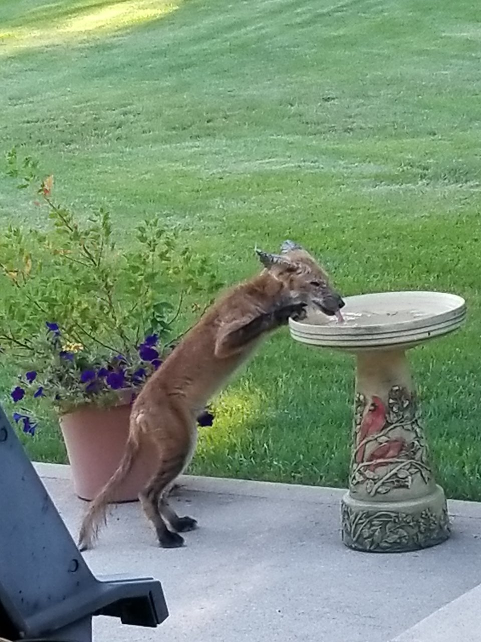20220902_175816.jpg