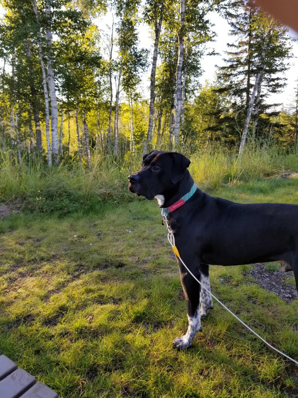 20220903_072959.jpg