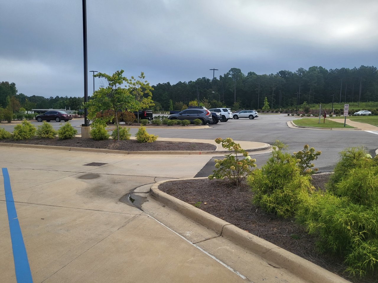 20220903_075607.jpg