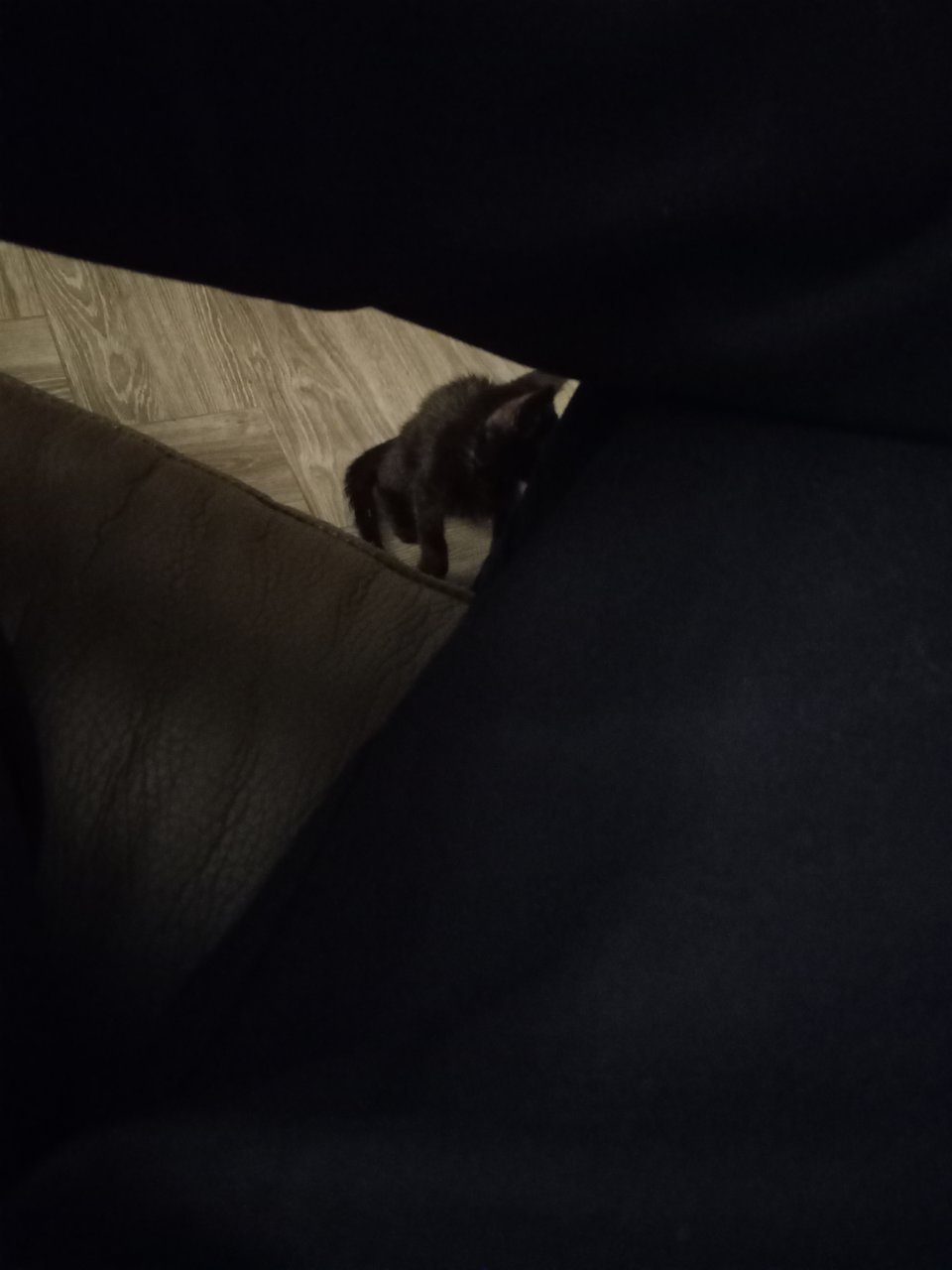 20220903_224120.jpg