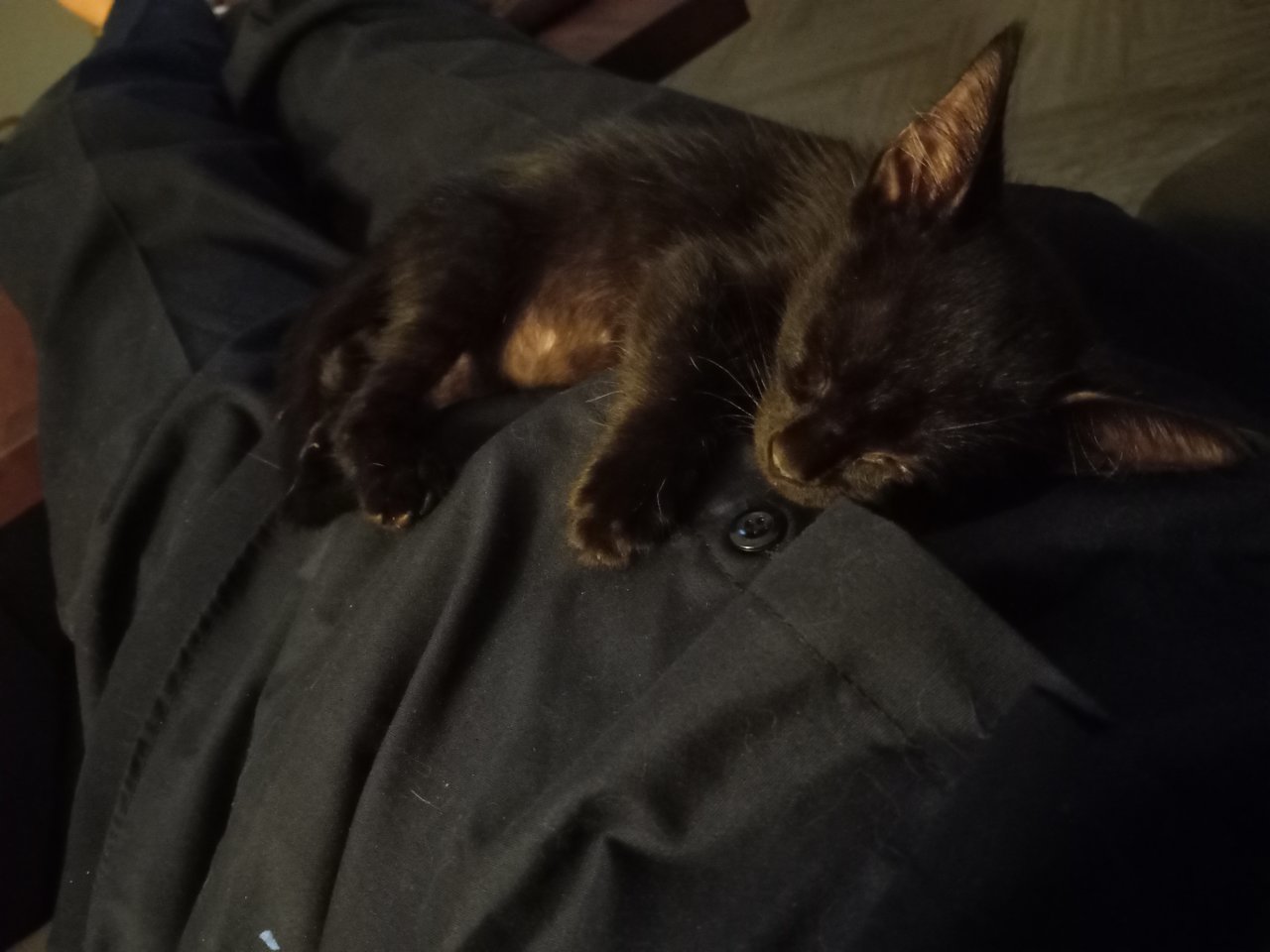 20220904_013252.jpg
