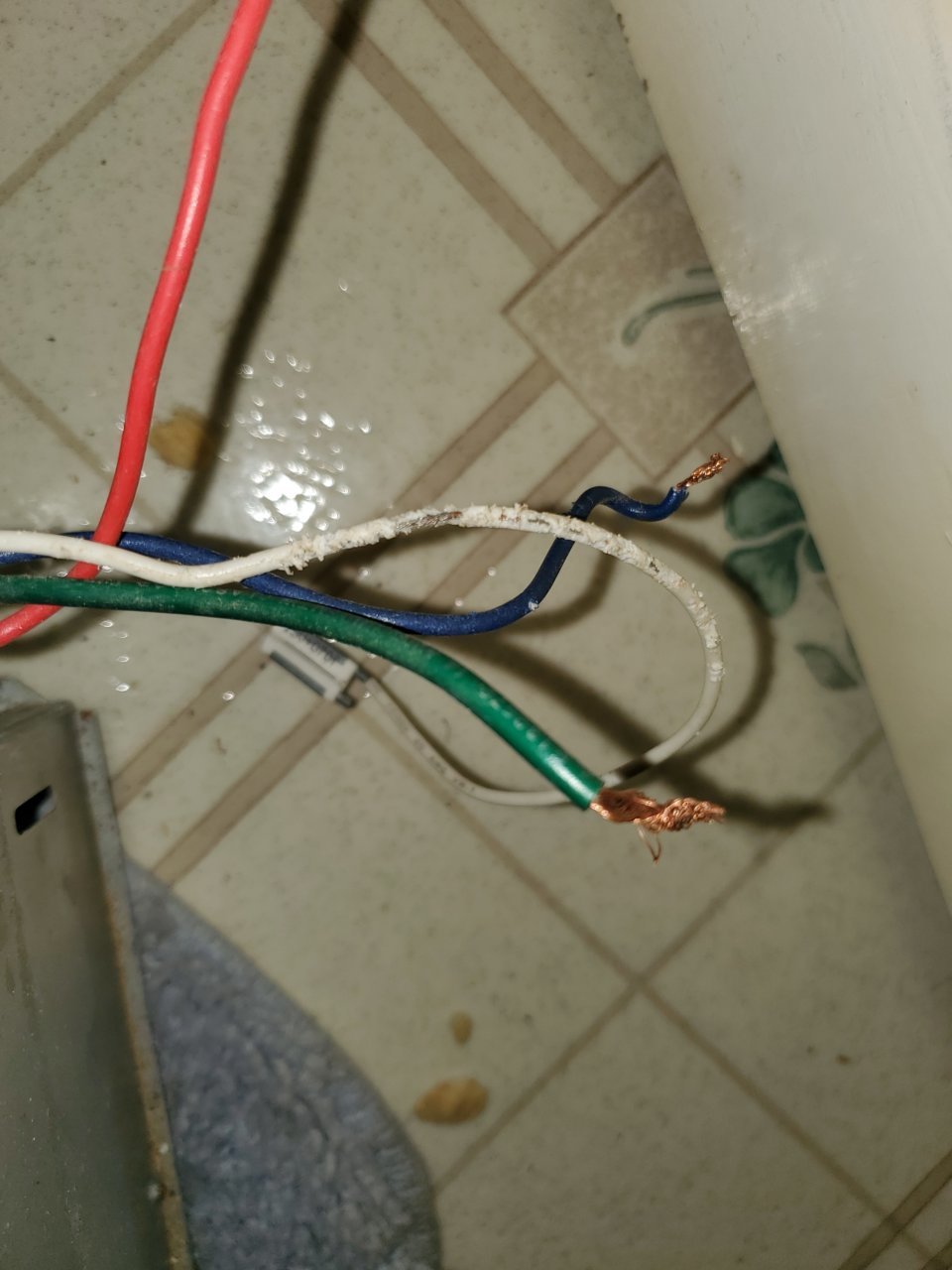 20220904_094735.jpg