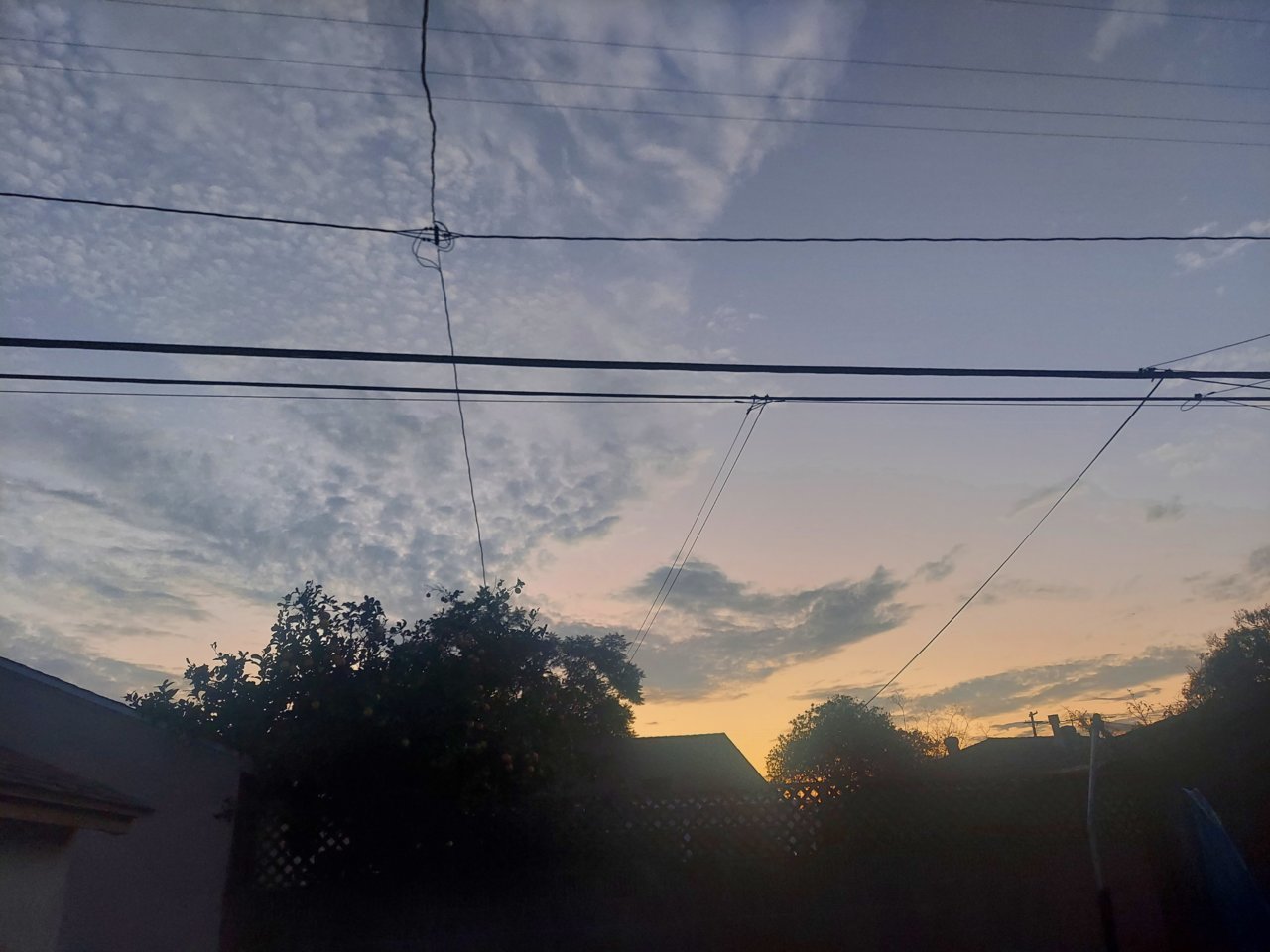 20220904_193254.jpg