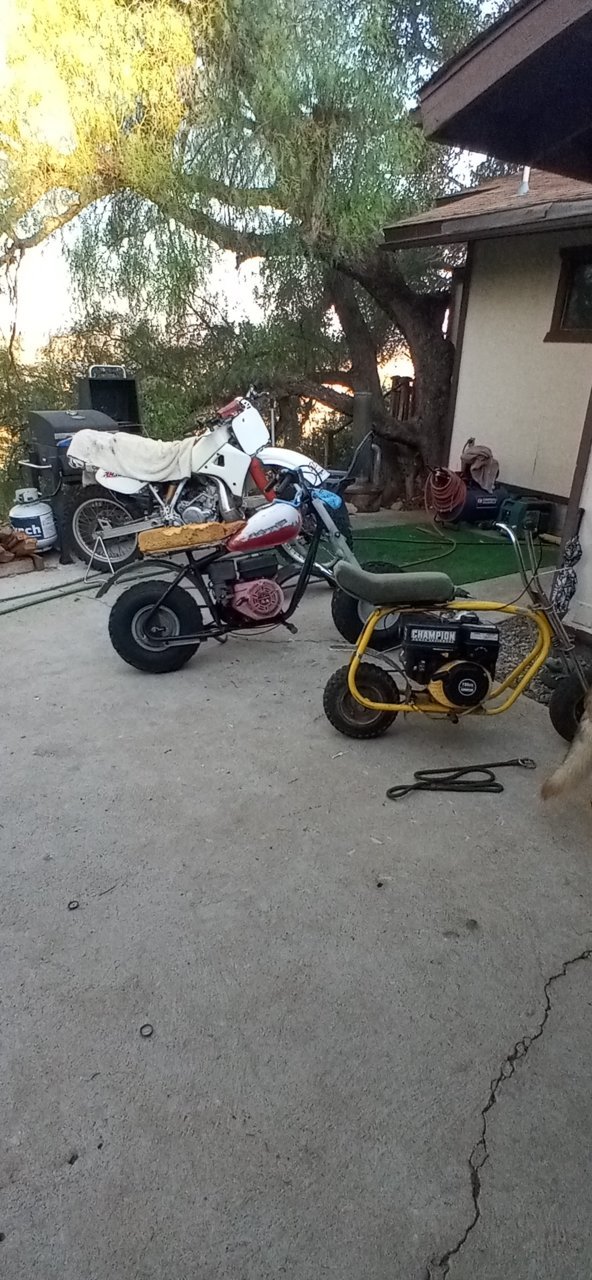 20220905_072527.jpg