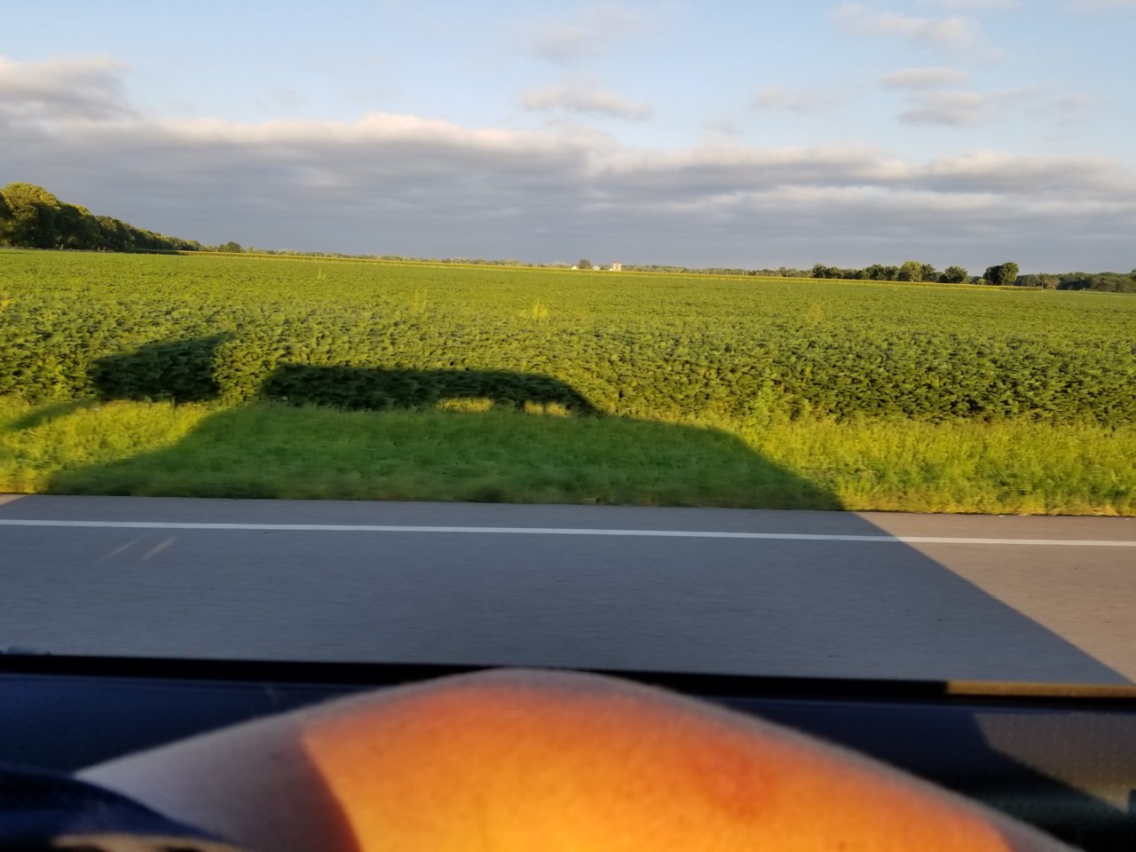 20220905_182953.jpg