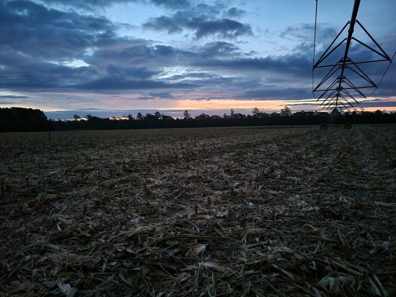 20220906_060713.jpg