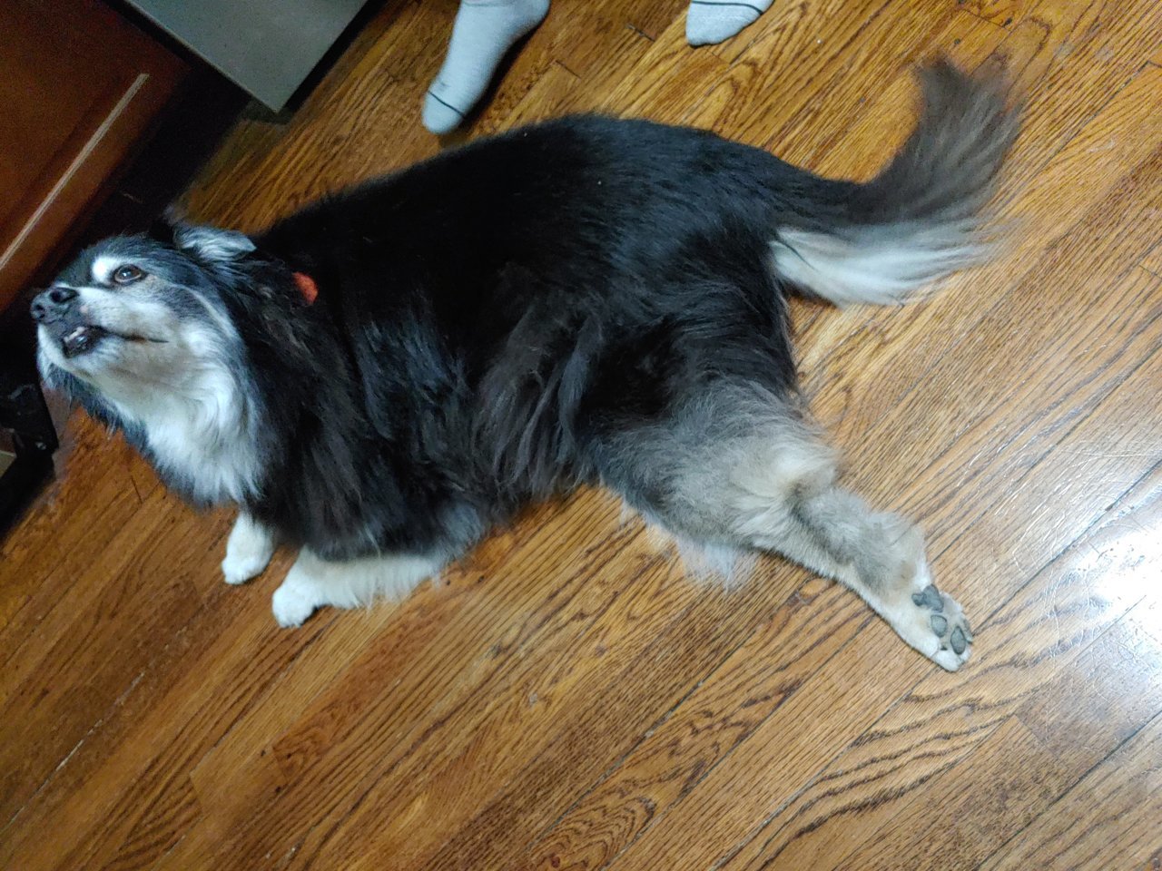20220906_213147_HDR.jpg
