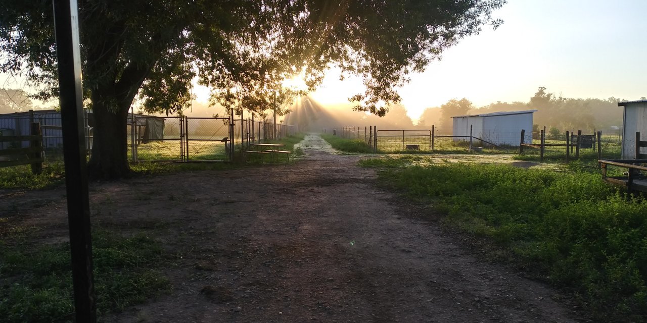 20220907_072939_HDR.jpg