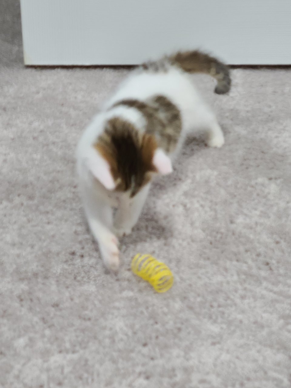 20220907_163103.jpg