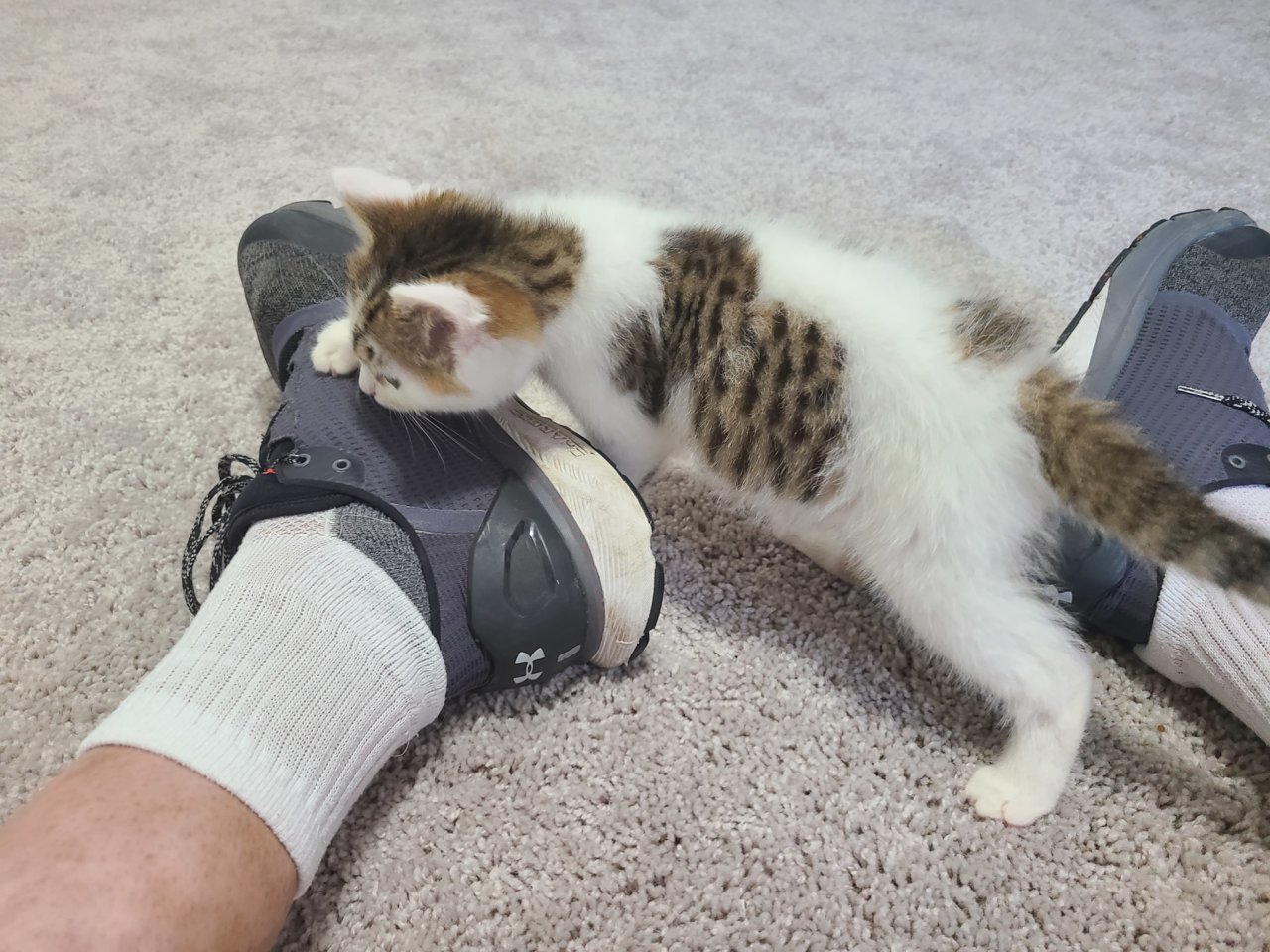 20220907_165024.jpg