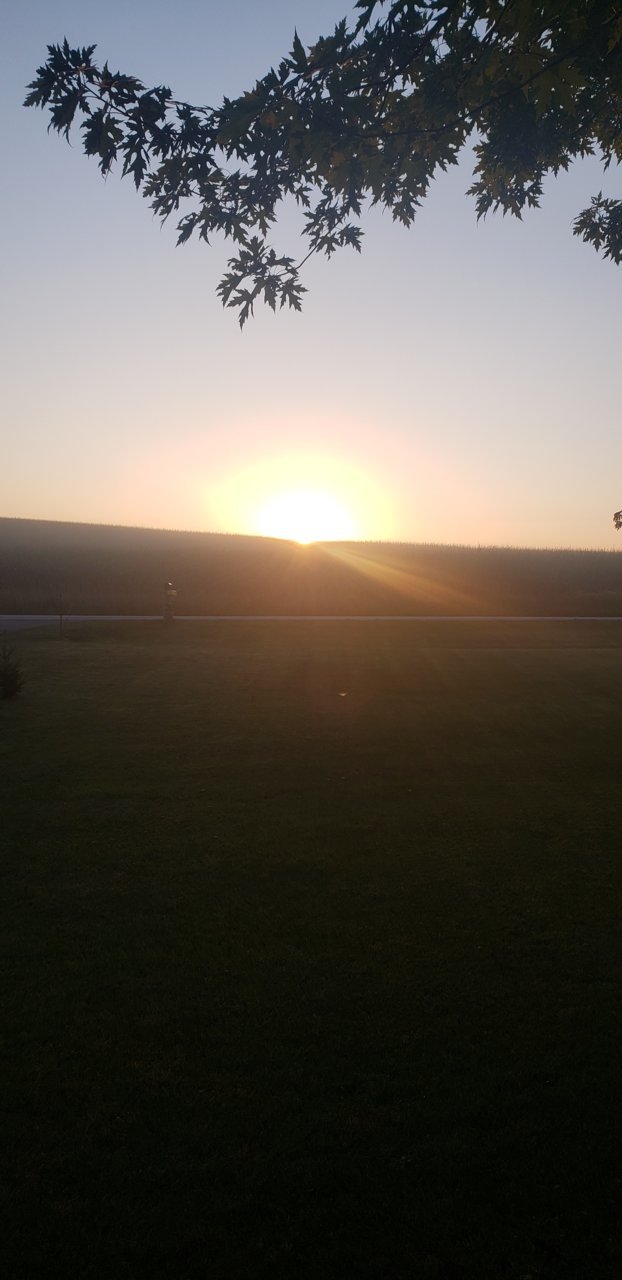 20220908_064715.jpg