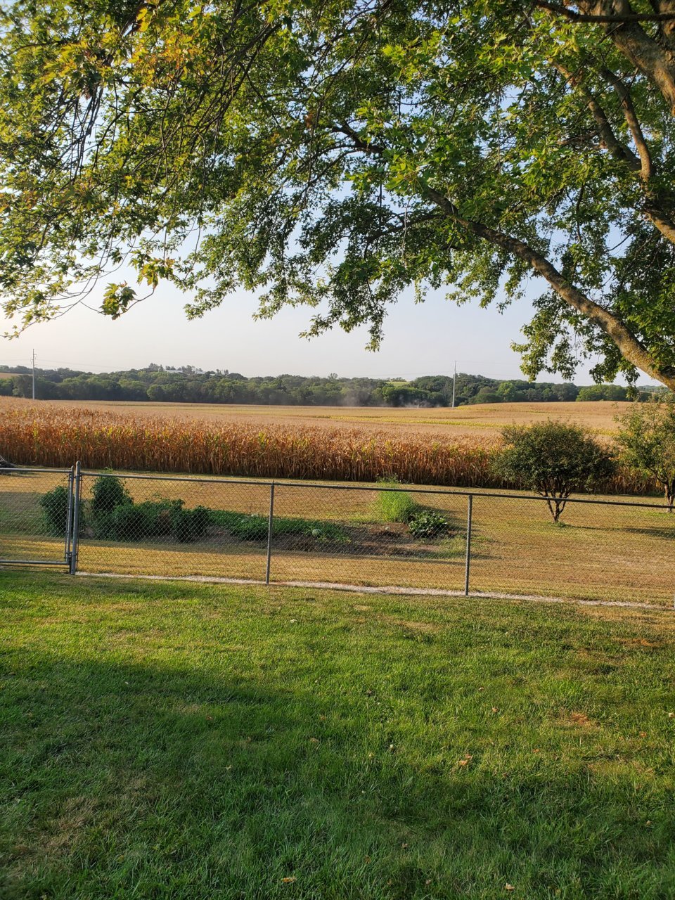 20220909_084816.jpg
