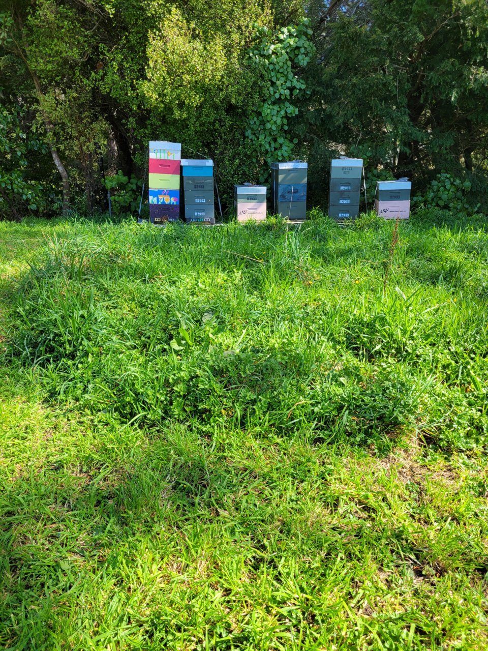 20220909_123637.jpg