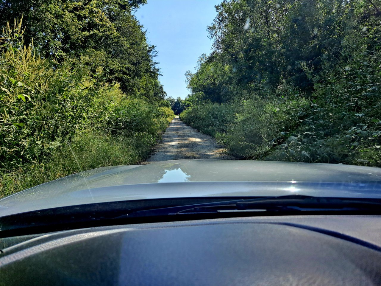 20220914_100725.jpg