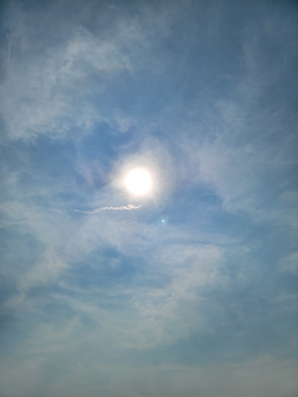20220914_121155.jpg