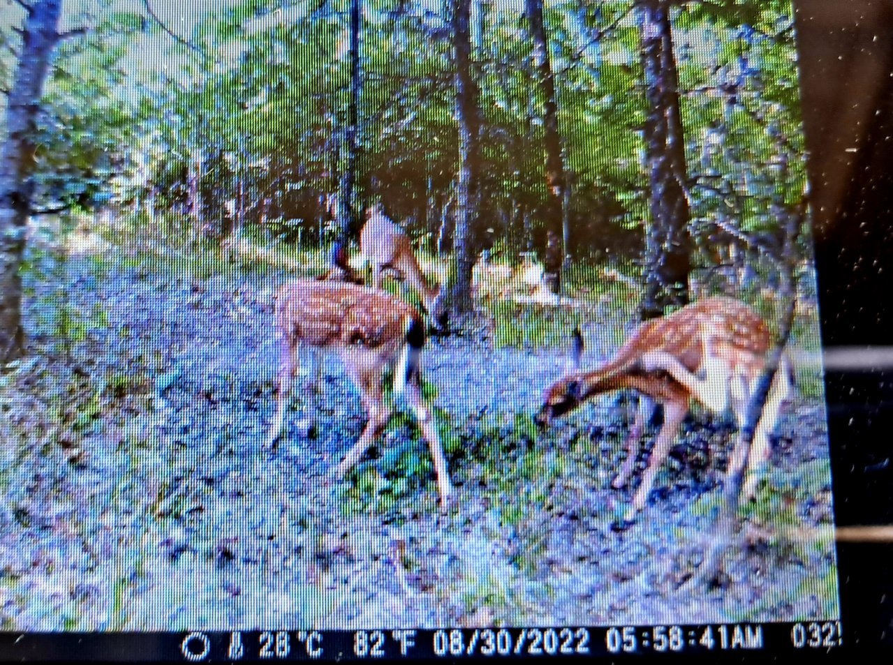 20220914_155656.jpg