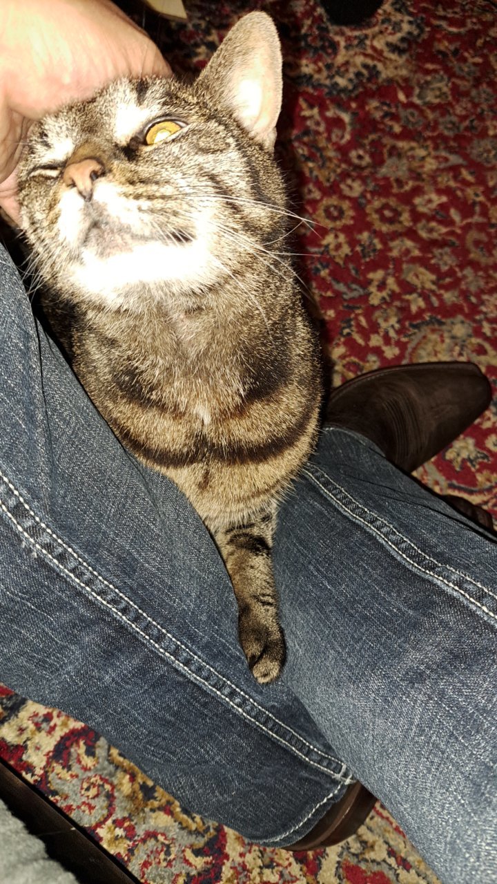 20220915_204515.jpg