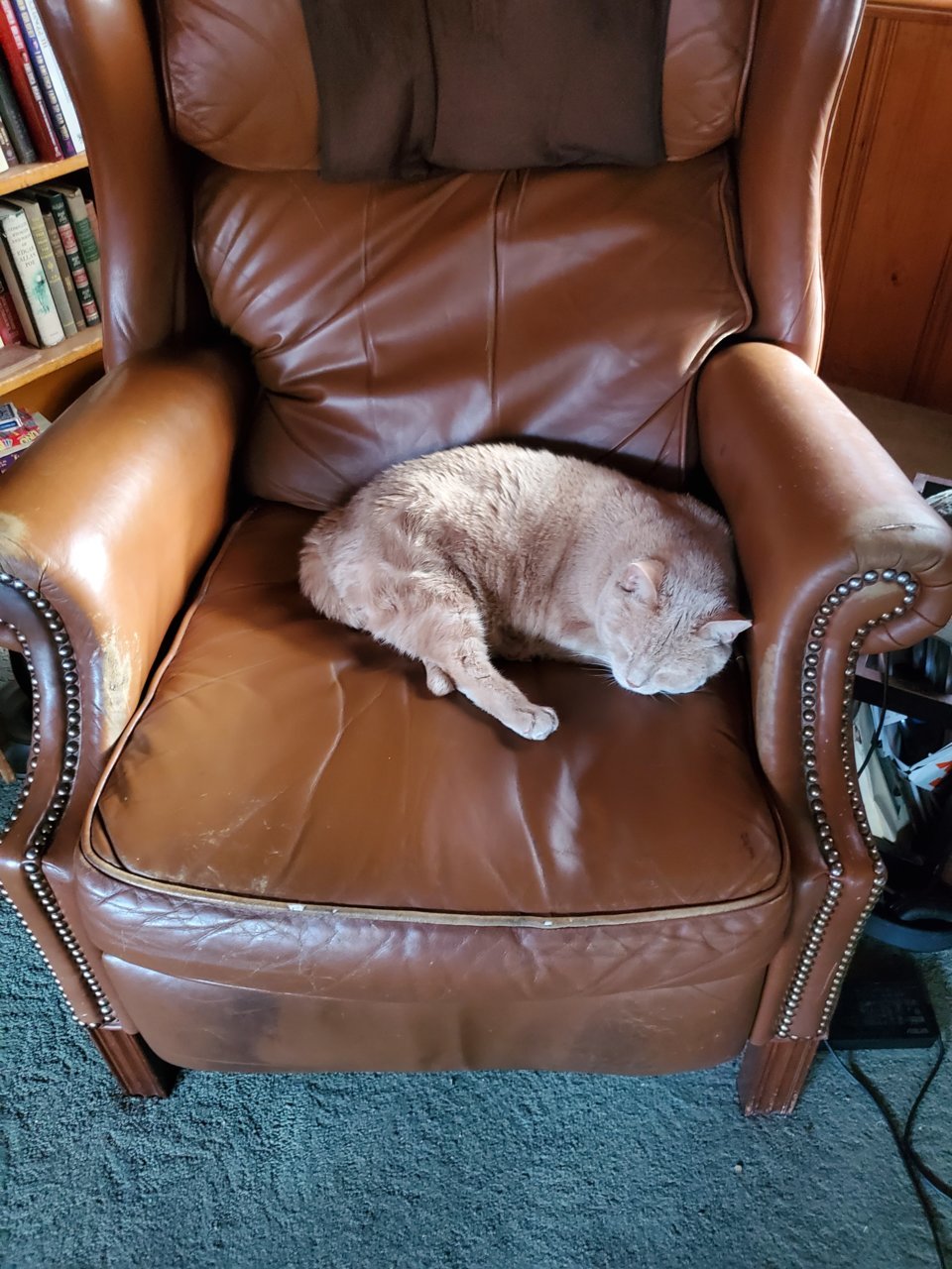 20220917_182148.jpg