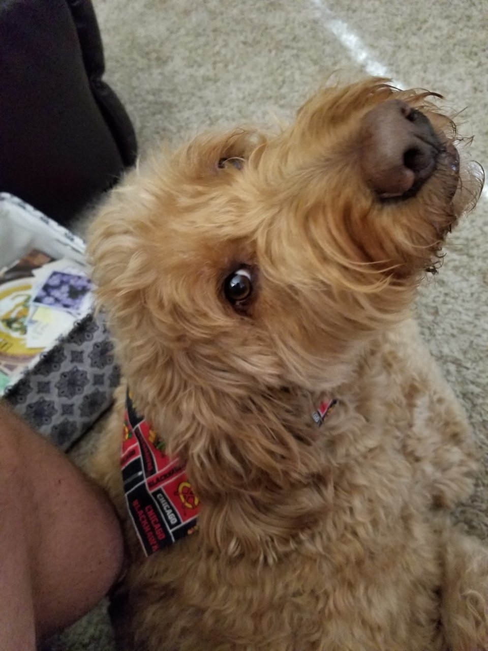 20220921_095656.jpg