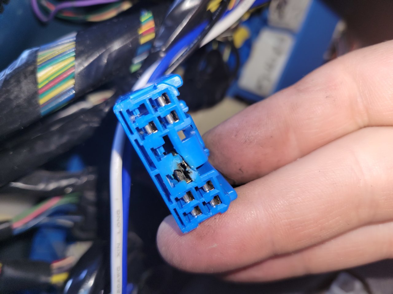 20220921_172309.jpg