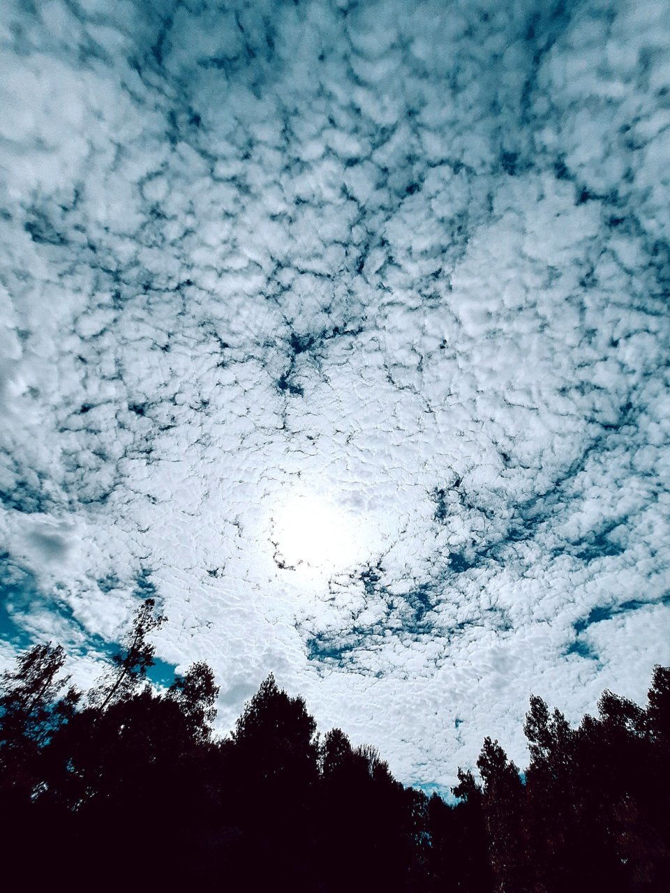 20220923_152938.jpg