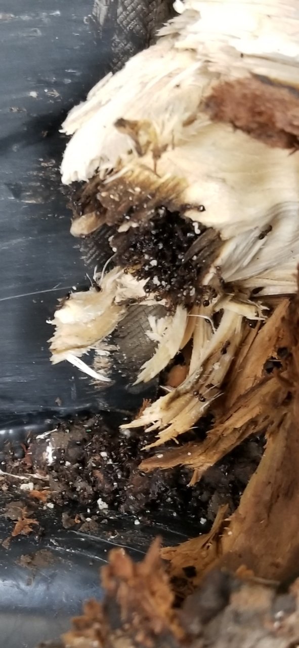 20220923_183809.jpg