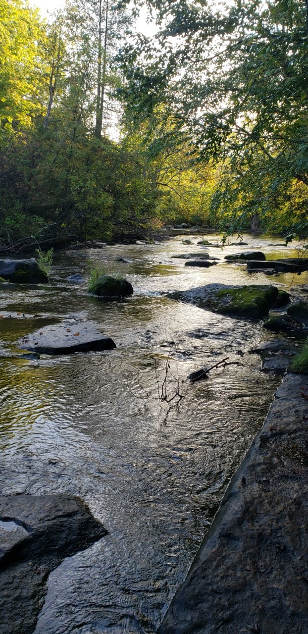 20220925_074139.jpg