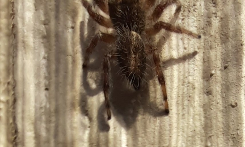 20220925_153738.jpg