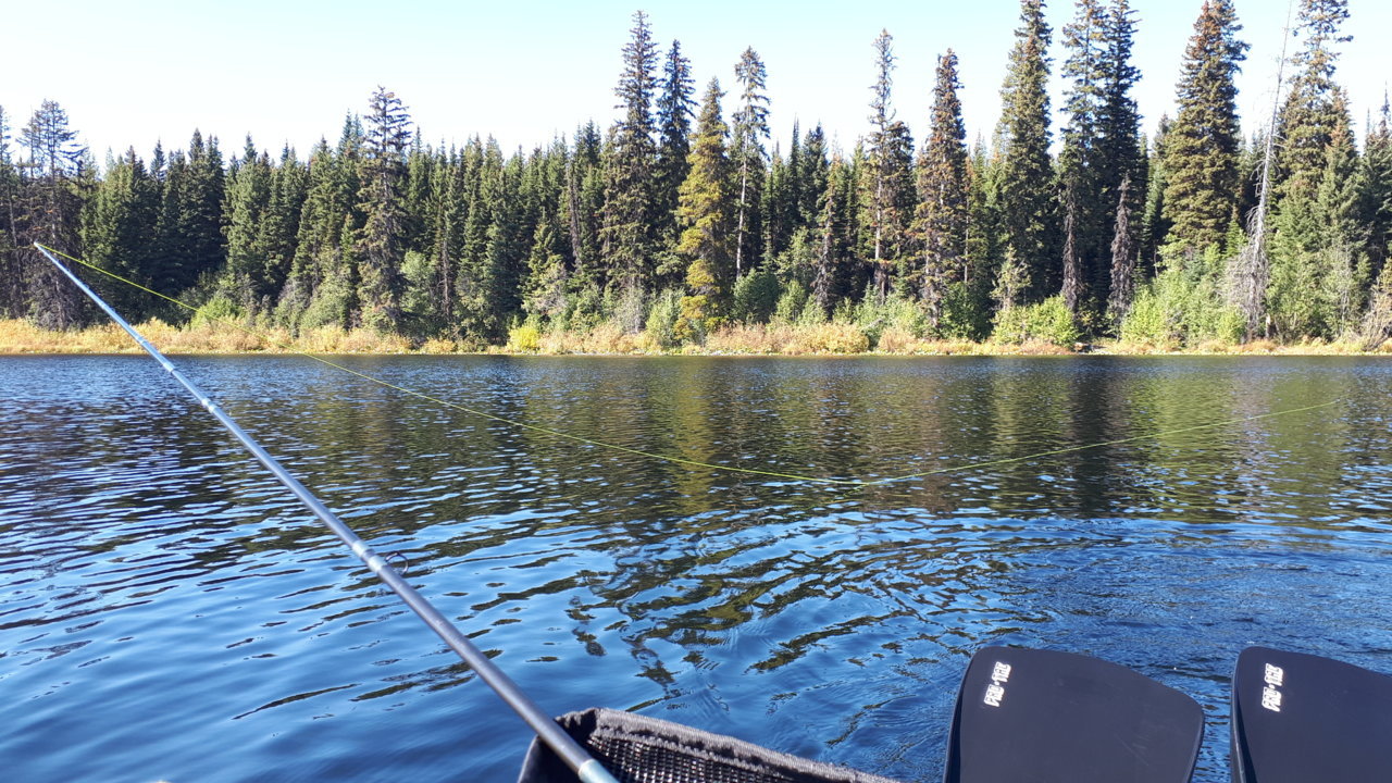20220927_130637.jpg