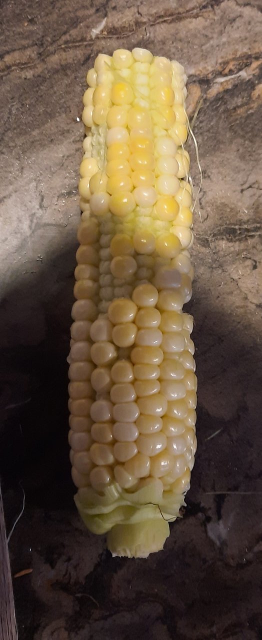 20220927_193036.jpg