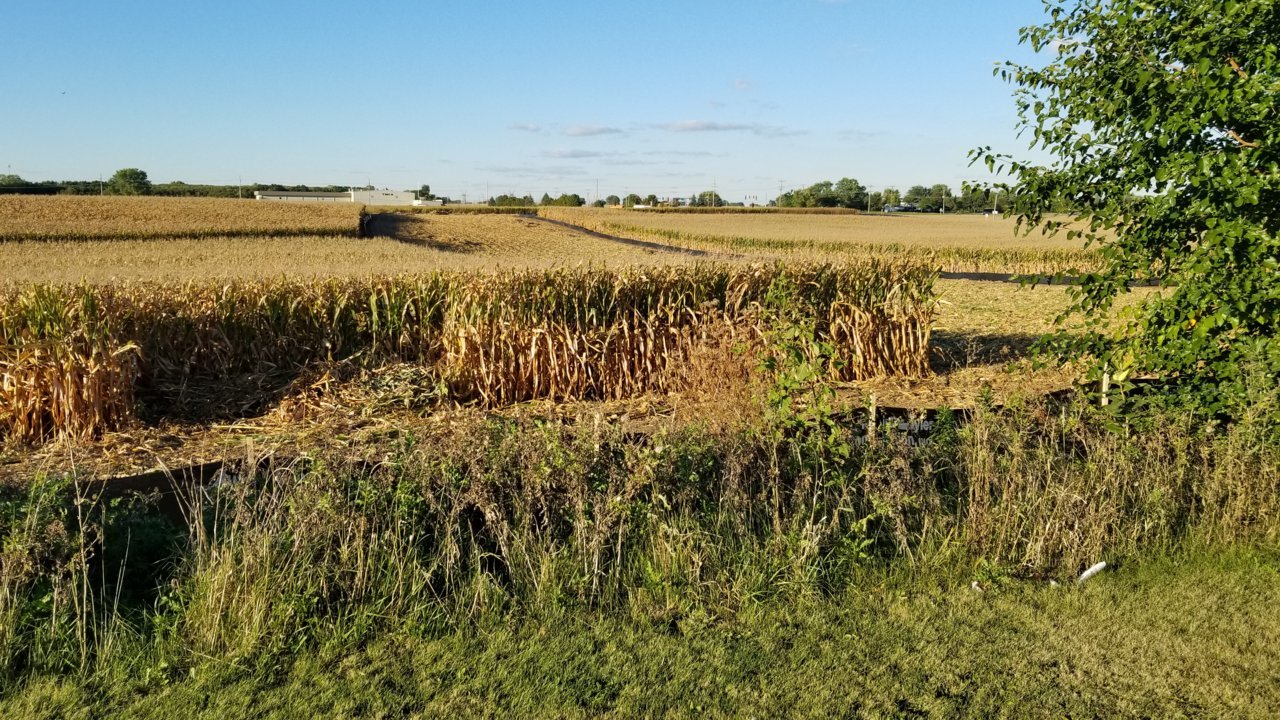 20220928_173315.jpg