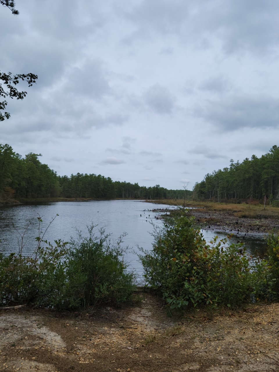 20220930_115445.jpg