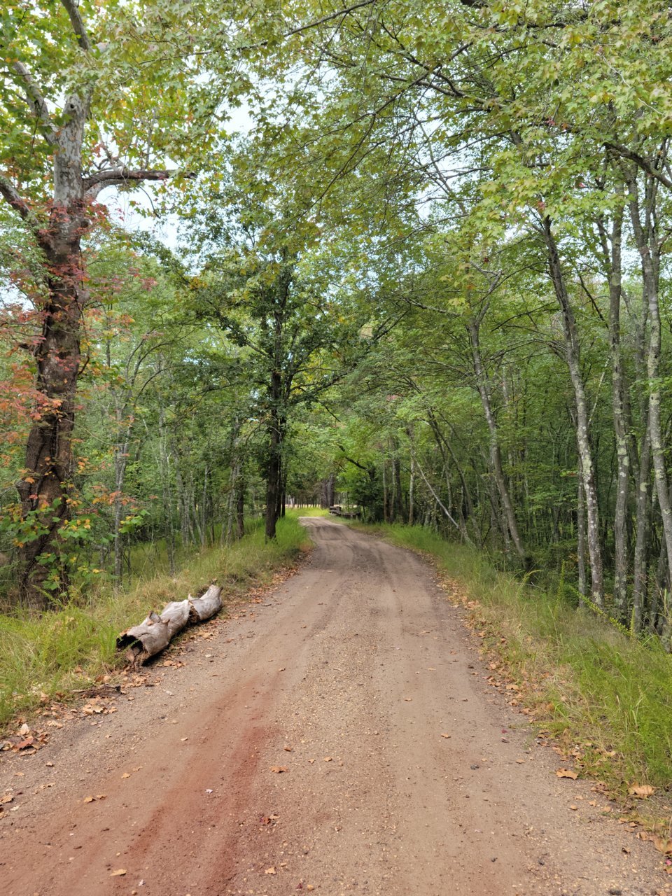 20220930_120119.jpg