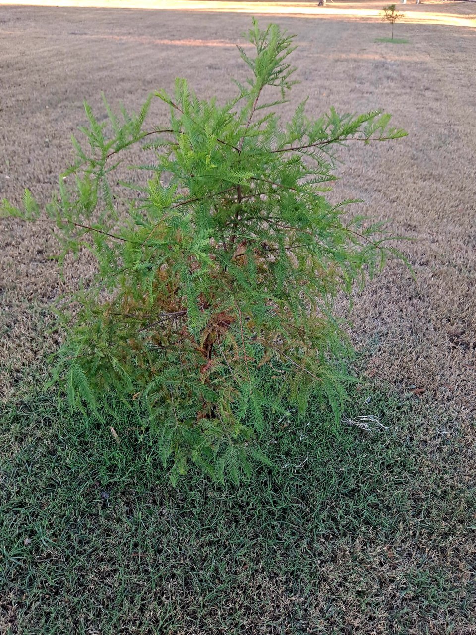 20220930_174943.jpg