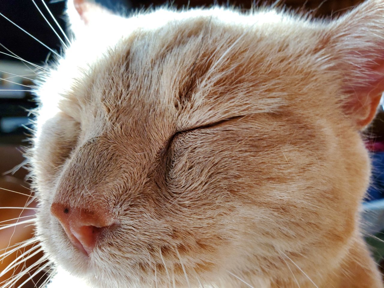 20221001_170828.jpg