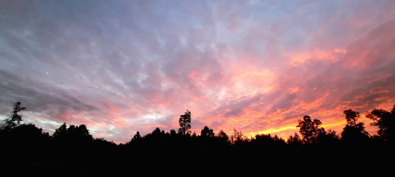 20221001_193021.jpg