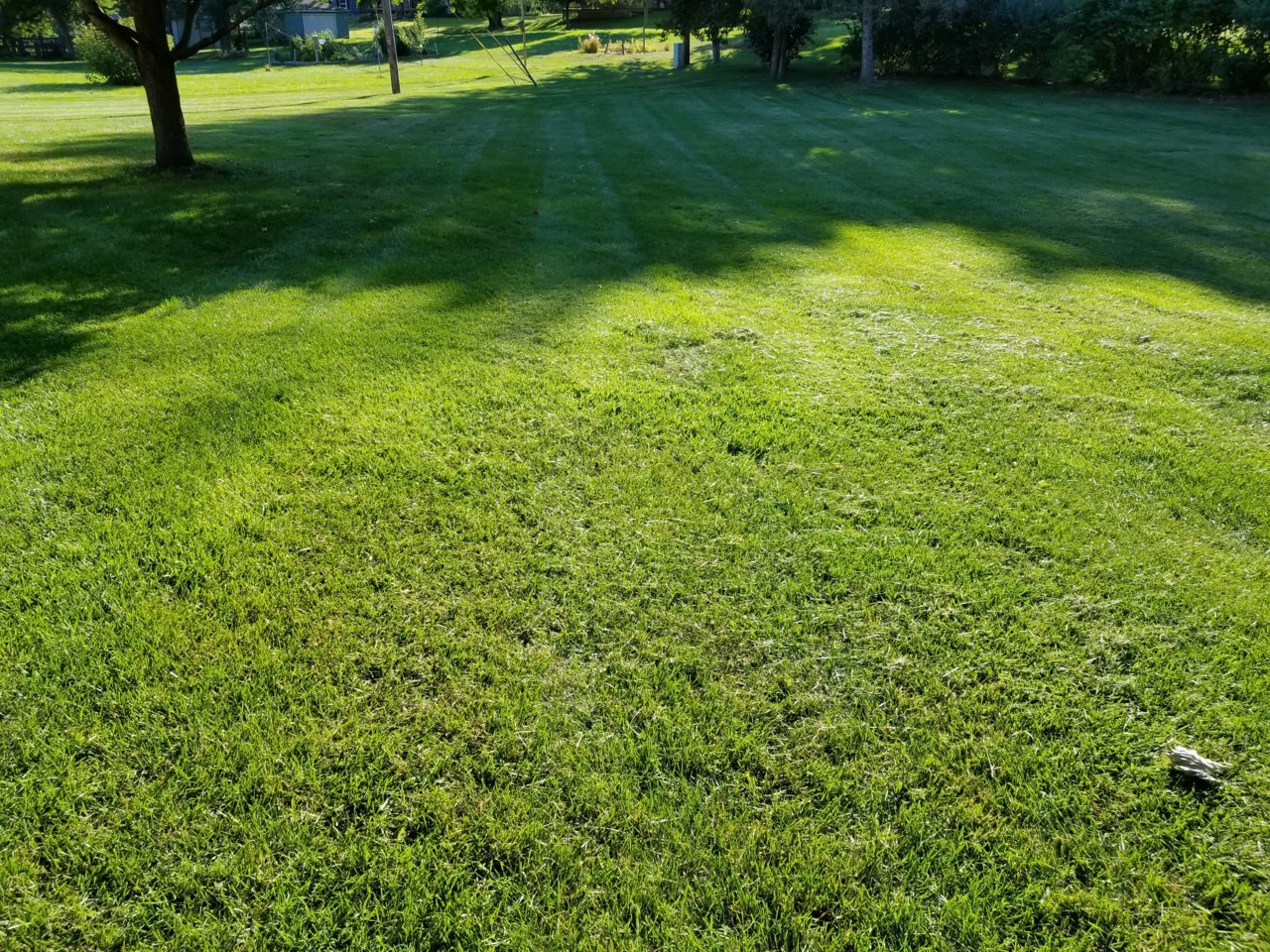 20221002_162942.jpg