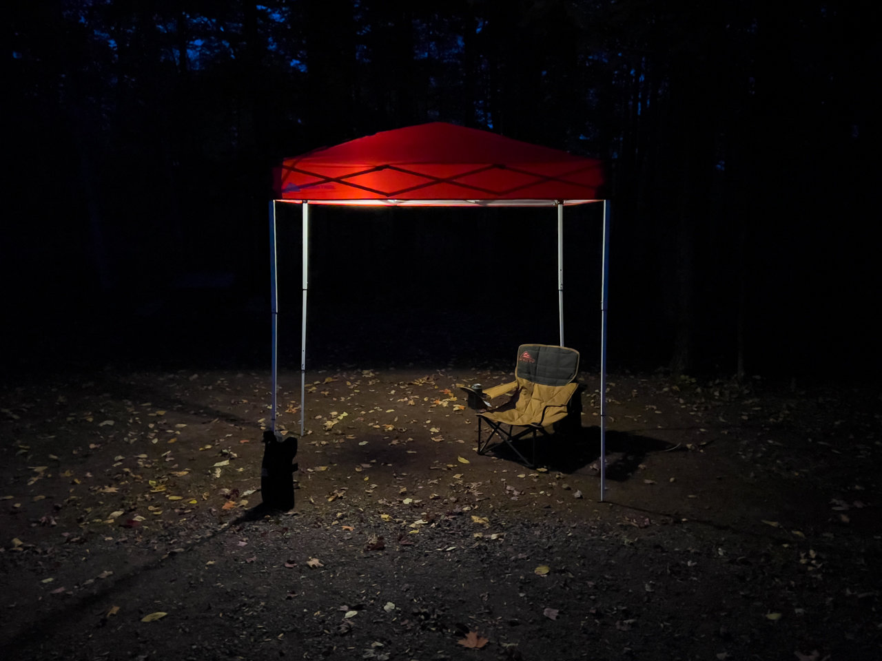 20221003-canopyTent-01.jpg