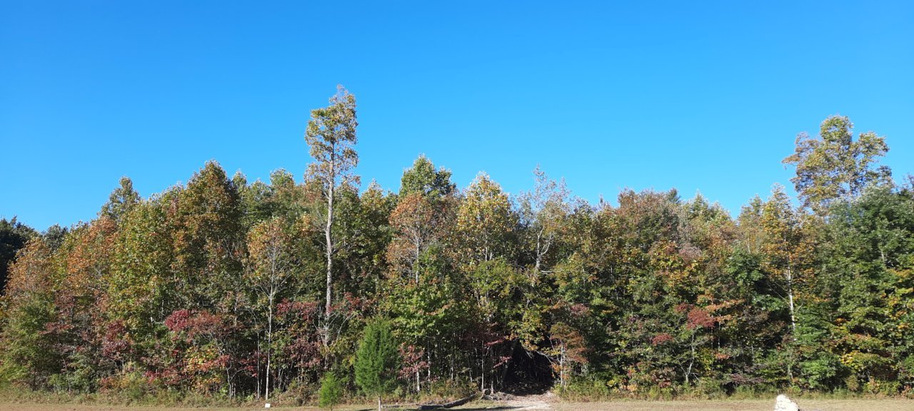 20221004_095545.jpg
