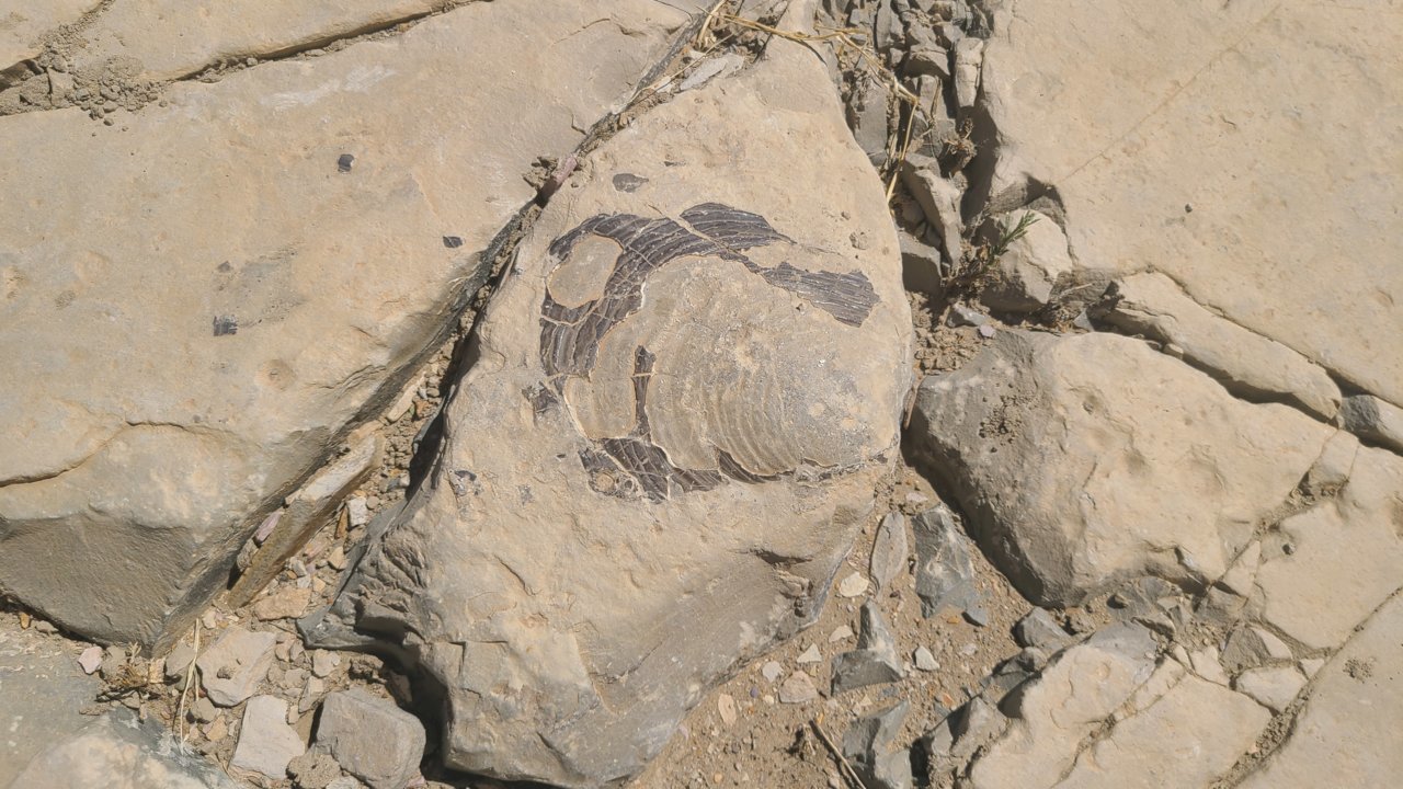 20221004_144750.jpg