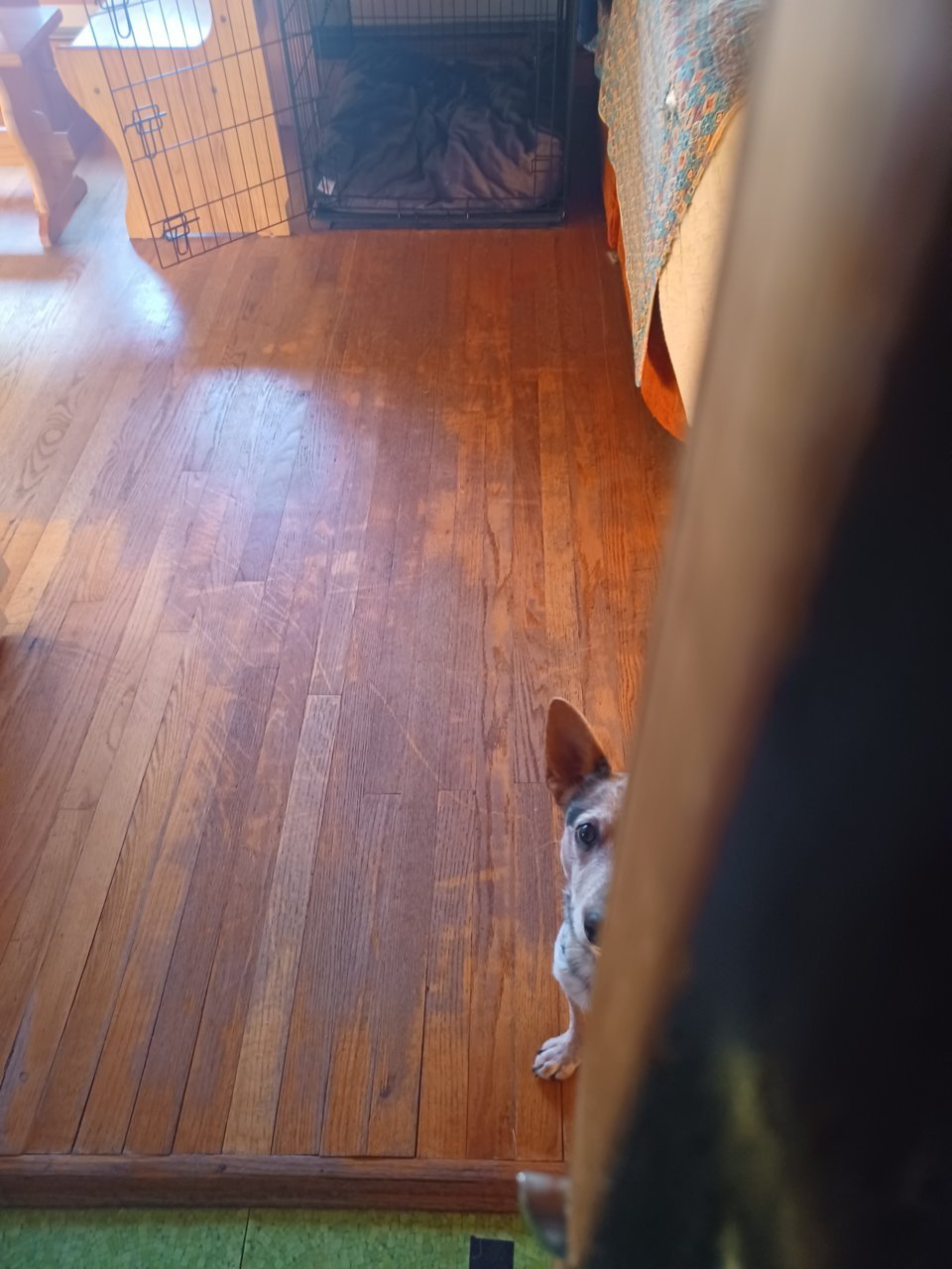 20221004_145913.jpg