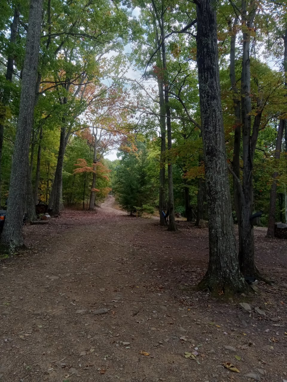 20221007_164218.jpg